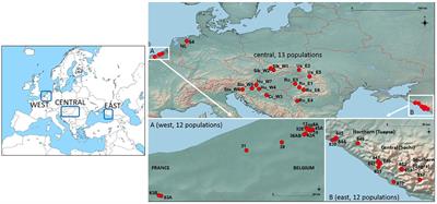 Over the hills and far away: phylogeography and demographic migration history of a dispersal-restricted primrose (Primula vulgaris)